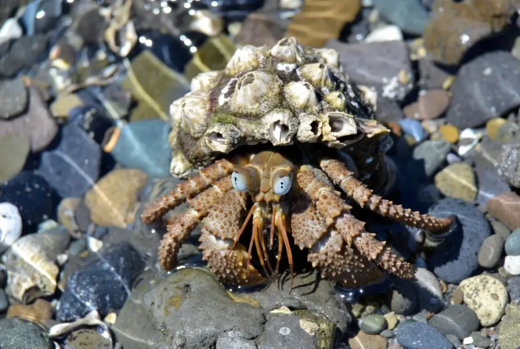 Wait - It Might Actually Be Eating